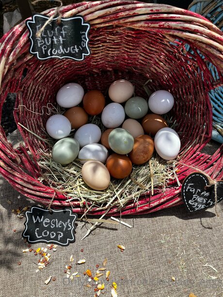 Foto desnuda filtrada de OnlyFans de Chickenlady Eggs