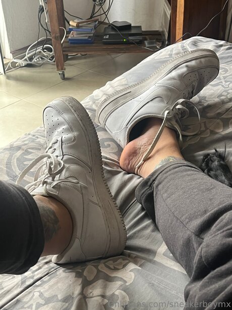 Sneakerboymx