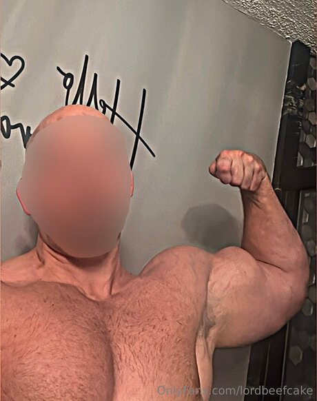 Lordbeefcake