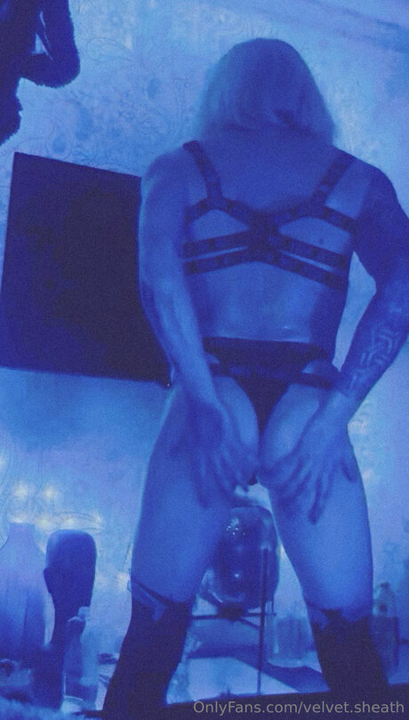 Velvet Sheath