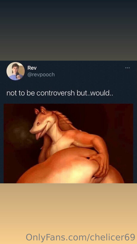 Chelicer69