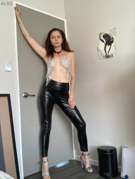 Pollypockethasfun