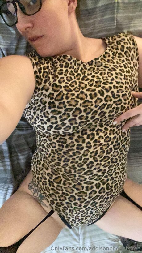 Addisonphoenixfree