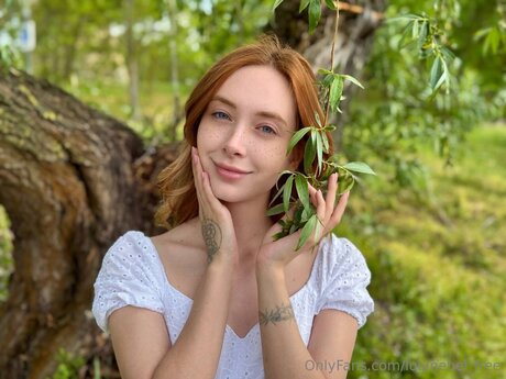 Lolynebel Free