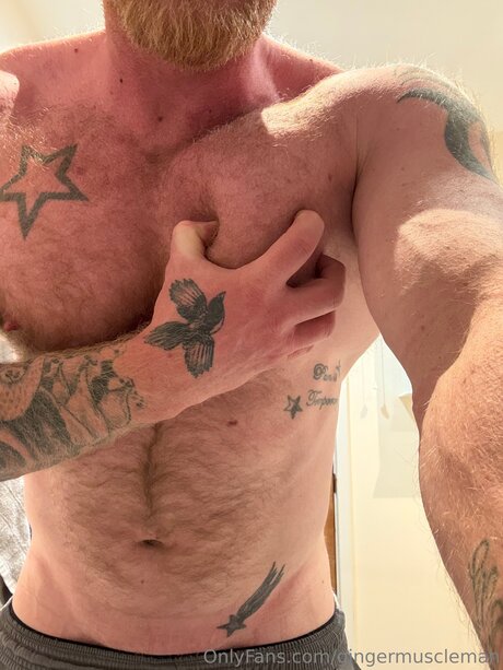 Gingermuscleman