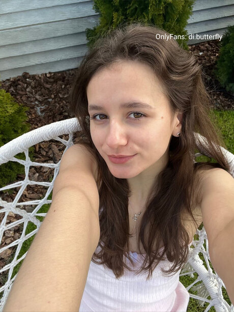 Di Butterfly