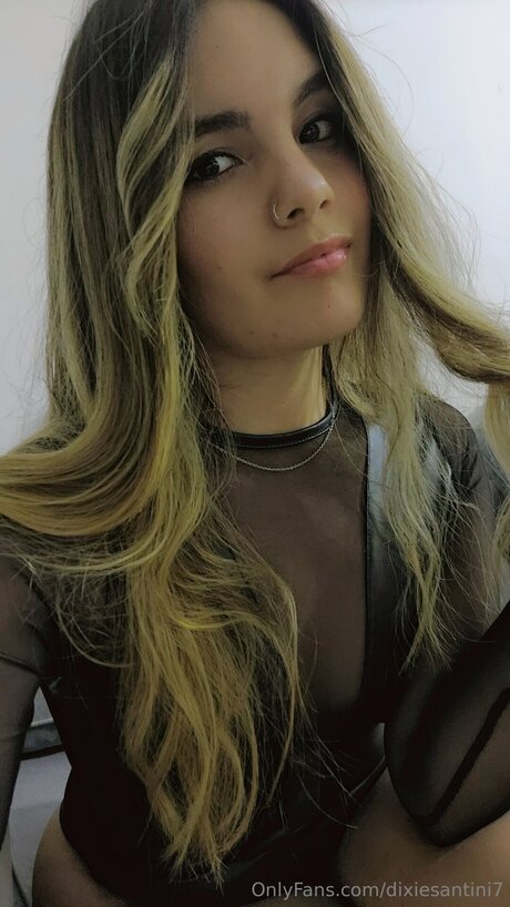 Dixiesantini7