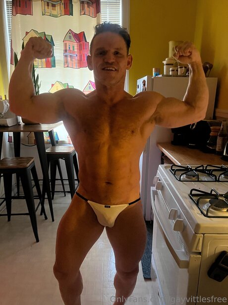 Gayvittlesfree