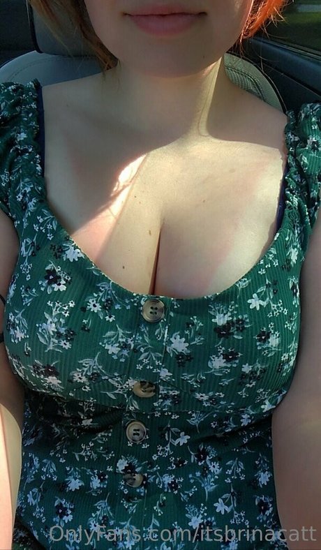 Itsbrinacatt