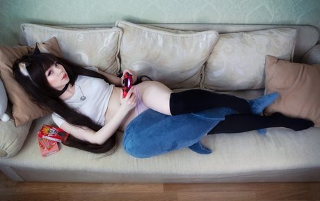 Caticornplay
