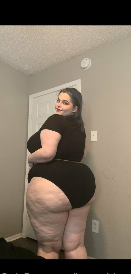 Honeybiscuit20