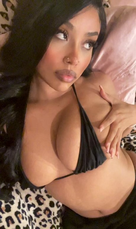 Dashofkitty