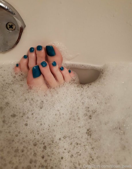 Sloan_paws