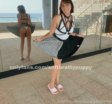 Softbrattypuppy
