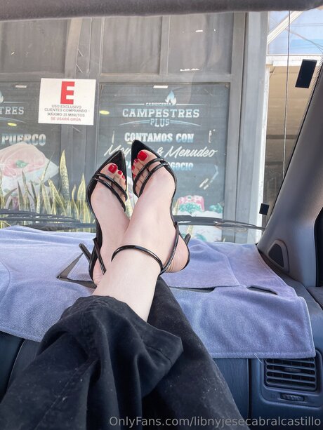 Libnyjesecabralcastillo