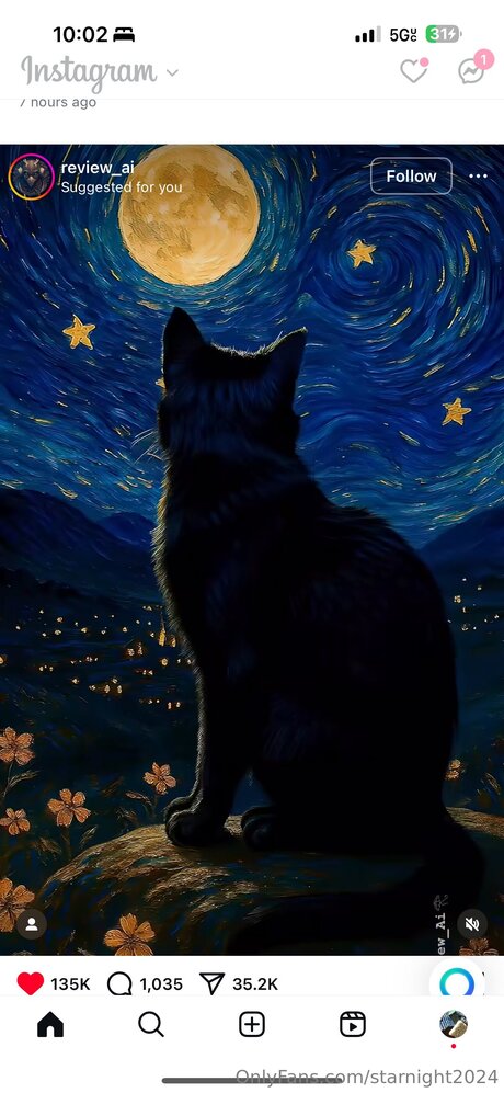 Starnight2024