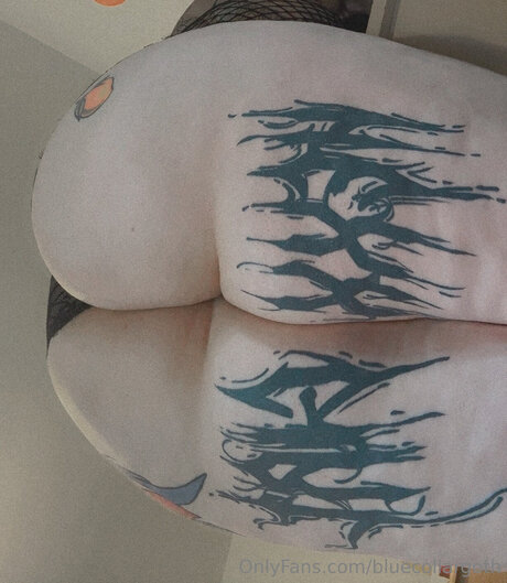 Bluecollargoth
