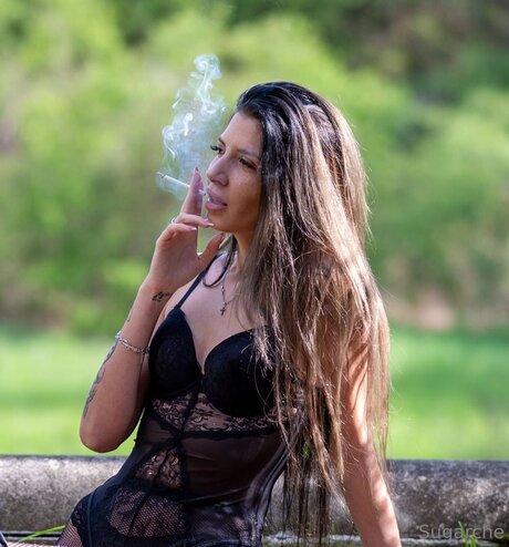 Sugarche