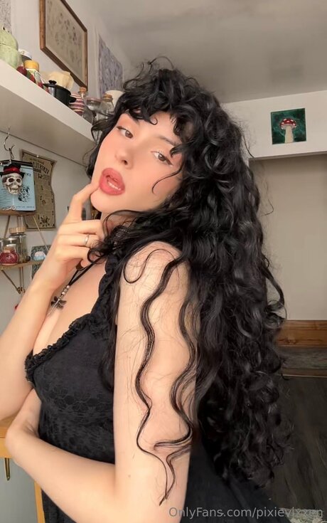 Pixievixencrypt