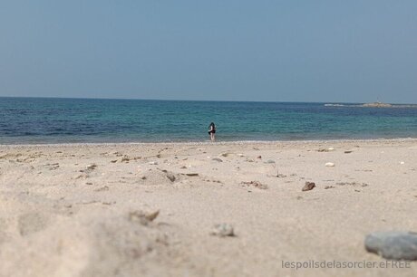 Poilsdesorcier Efree