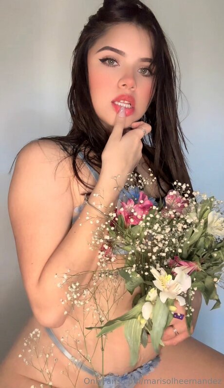 Marisolheernandez