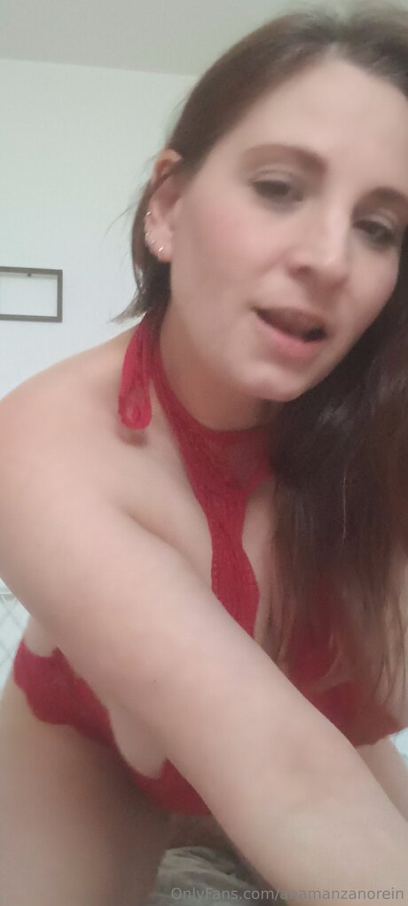 Anamanzanorein