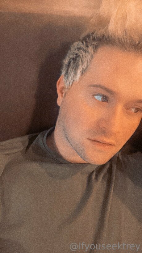 Ifyouseektreyfree