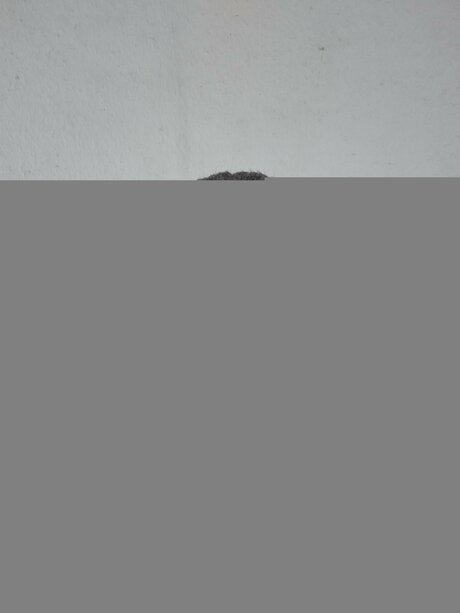 Foto desnuda filtrada de OnlyFans de Estebanruiz2022