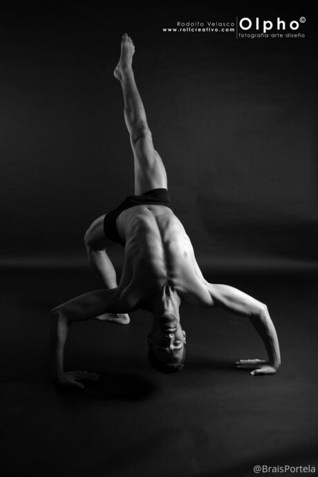 Braisportelam