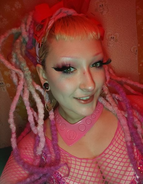 Maddisonsins