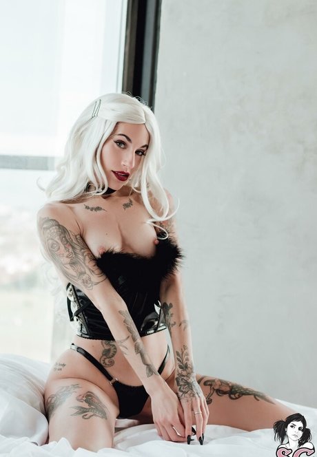 Kadito Sg