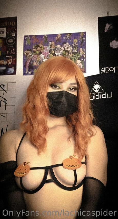 Lachicaspider
