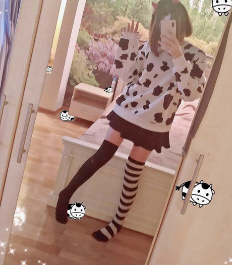 weeloliseiichiki