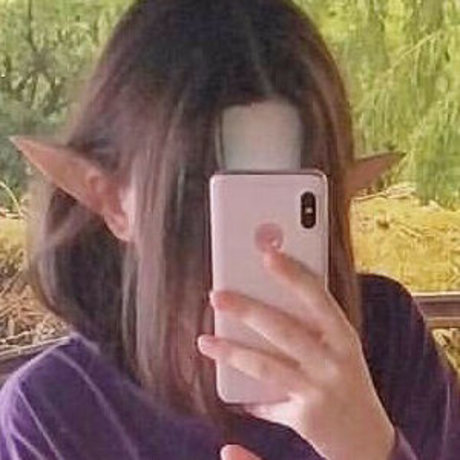 weeloliseiichiki