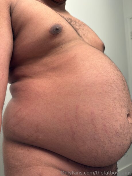 Thefatboygains