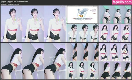 Bj Sumin2005 