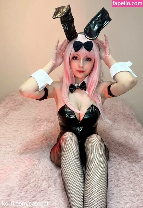 Catorisu