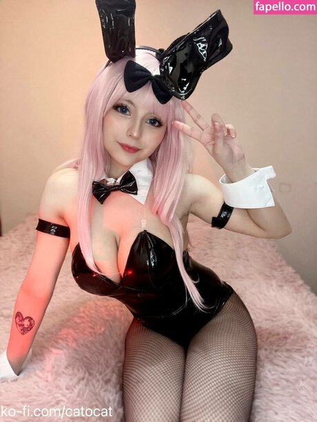 Catorisu