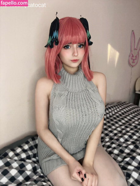 Catorisu