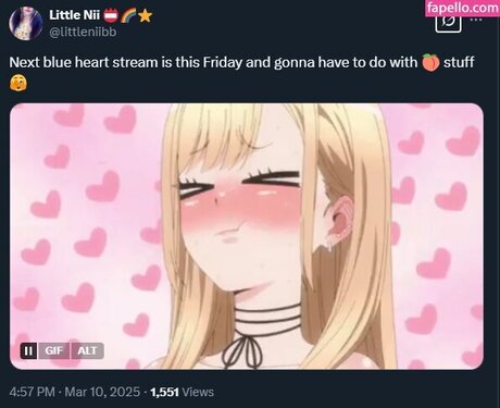LittleNiiVT
