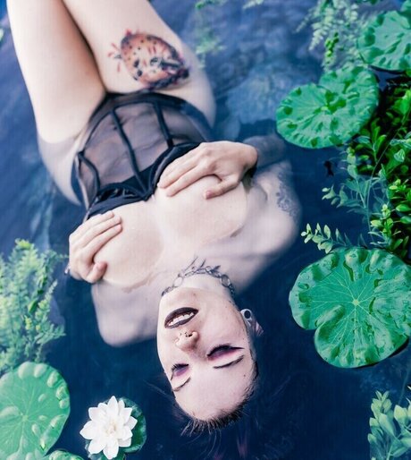 Anniquinn