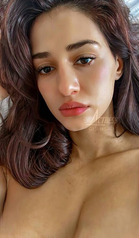 Dishapatani