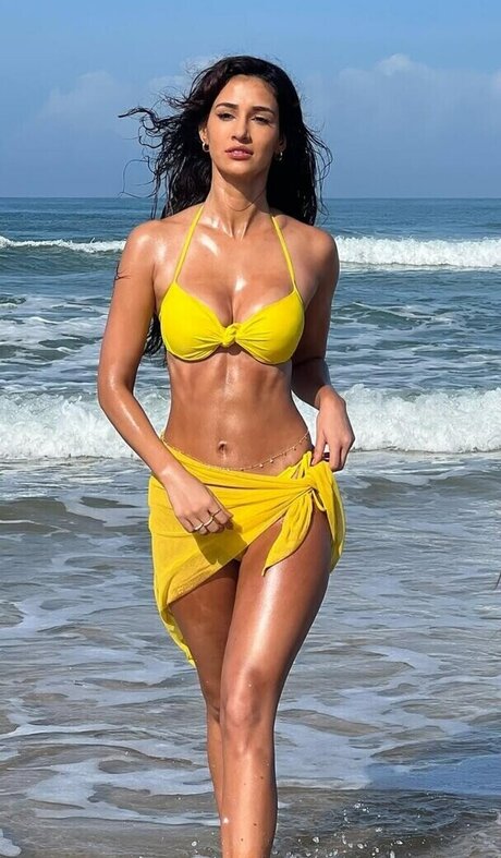 Dishapatani
