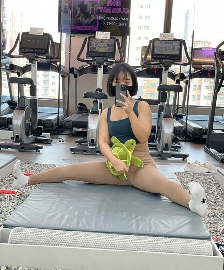 Hellinifit