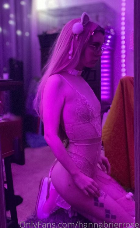 Hannabrierrose