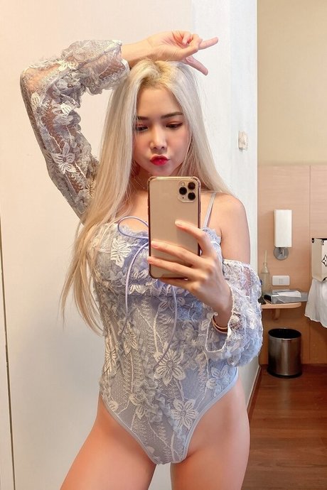 Baibaifern