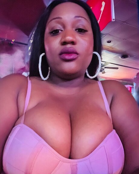 Coco King Ampamp Queen