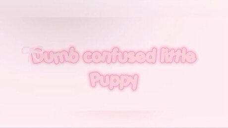 Puppy