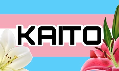 Kaito 