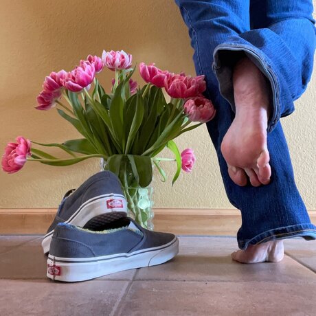 Queenofvans